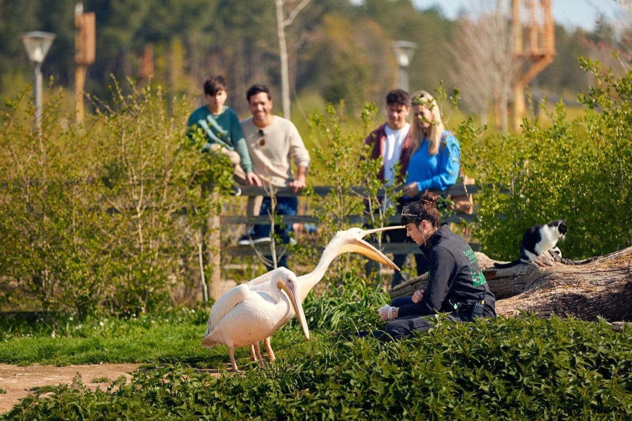 Center Parcs Le Bois Aux Daims Hotel Morton Buitenkant foto